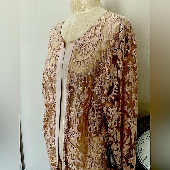 Adrianna Papell Floral Lace Maxi Dress in Blush - Picture 1 of 11
